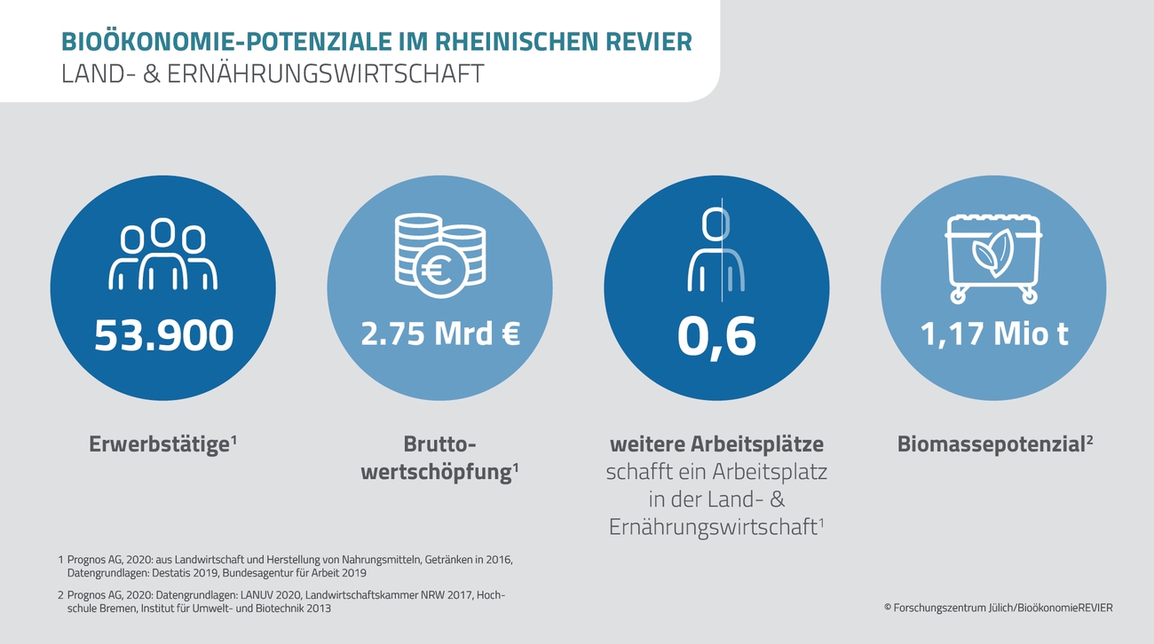 Abbildung zu den Bioökonomie-Potenzialen im Rheinischen Revier
