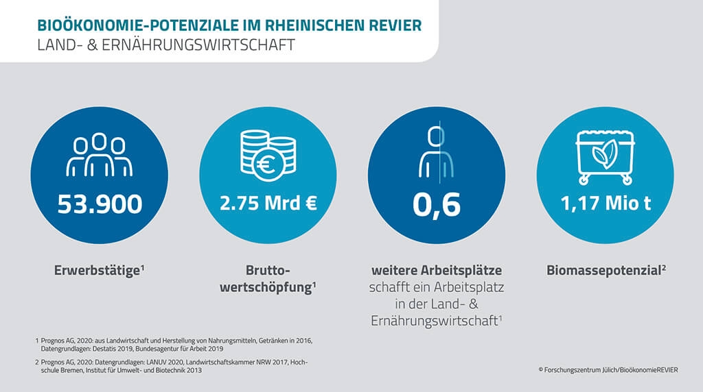 Abbildung zu den Bioökonomie-Potenzialen im Rheinischen Revier