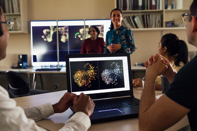 Ältere Studentinnen und Studenten sind umgeben von wissenschaftlichen Laptop