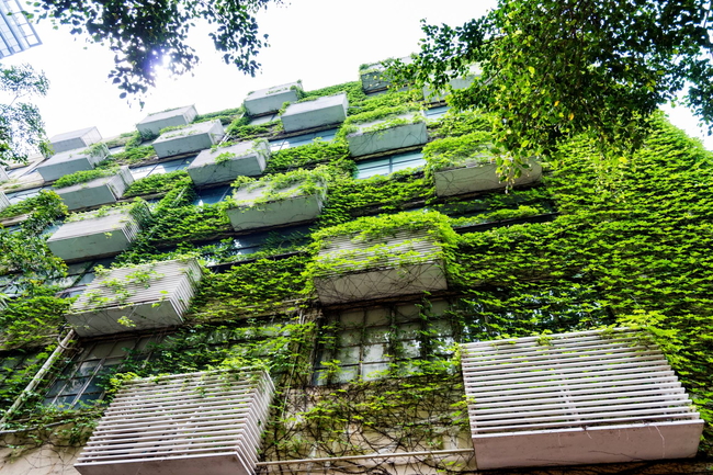 Begrünte Hausverssade