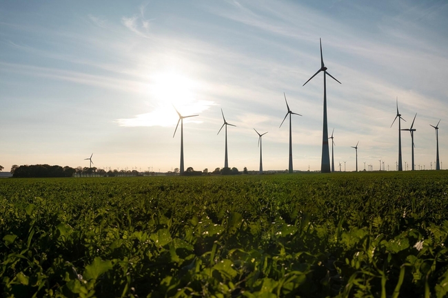 Windräder auf einem Feld