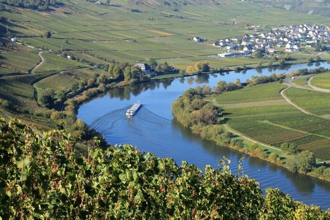 Schiff fährt durch Flusskurve, links und rechts sind die Hänge mit Weinfeldern bedeckt.