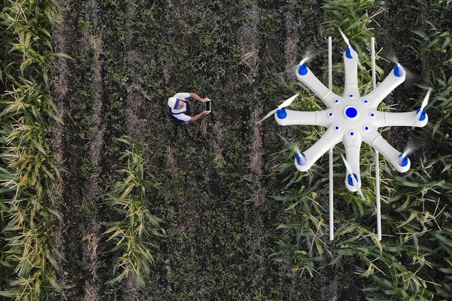 Landwirt besprüht sein Feld mit einer Drohne