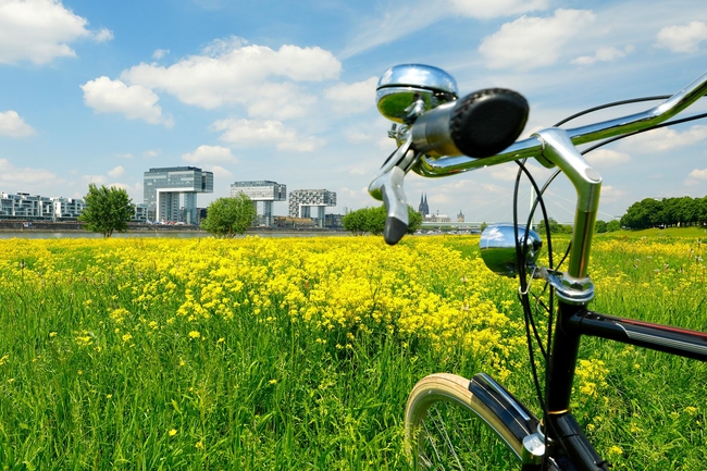 Fahrrad vor Rapsfeld und Düsseldorfer Panorama