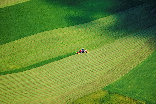 Ein Traktor auf einem grünen Acker aus der Vogelperspektive