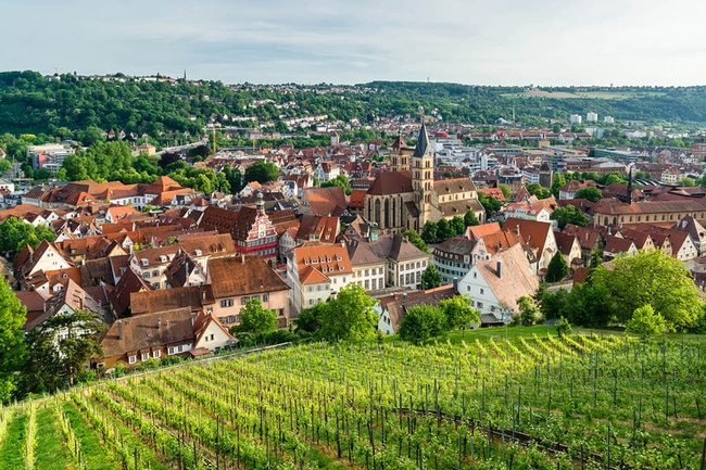 Blick auf Neckar Esslingen in Baden-Württemberg