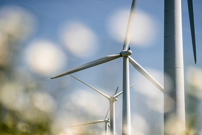 Windräder auf einem Feld