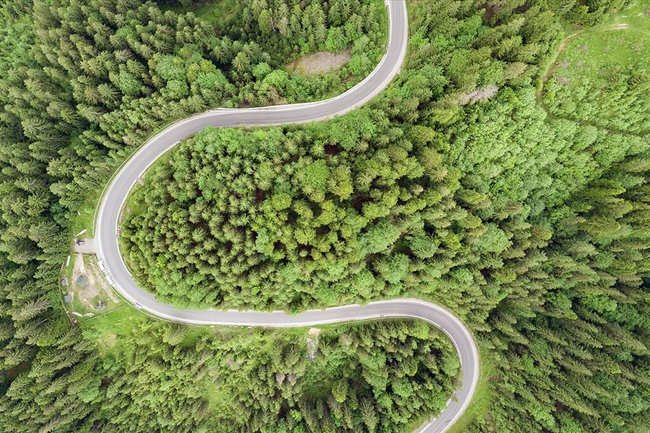 Eine kurvige Straße inmitten eines Waldes aus der Vogelperspektive