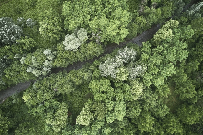 prognos_studie_klimaschutzvereinbarung mit unternehmen_2020