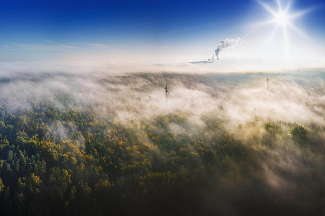 Ein Wald aus der Vogelperspektive, eine Stromleitung und ein Kraftwerk sind im Hintergrund zu sehen.