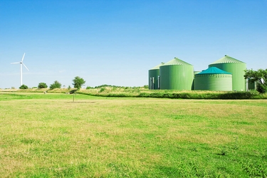 Grünes Feld im Vordergrund. Auf der linken Seite ist ein Windrad zu sehen, rechts Biogasnalgen