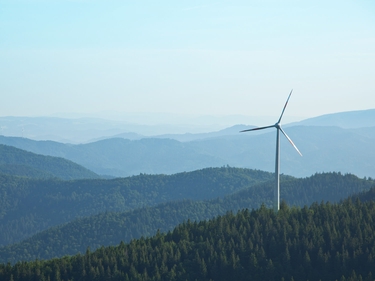 Windkraftanalage steht in grünem Umland