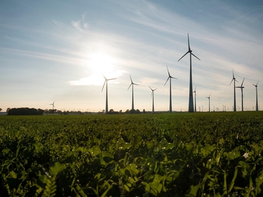 Windräder auf einem Feld