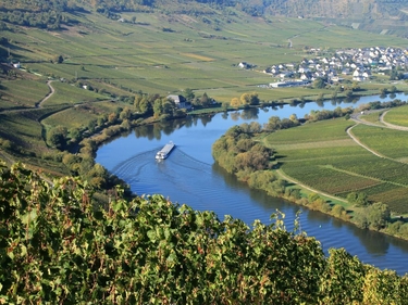 Schiff fährt durch Flusskurve, links und rechts sind die Hänge mit Weinfeldern bedeckt.