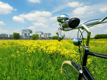 Fahrrad vor Rapsfeld und Düsseldorfer Panorama