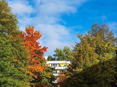 Bäume vor einem Wohnblock