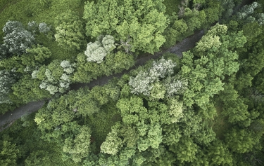 prognos_studie_klimaschutzvereinbarung mit unternehmen_2020
