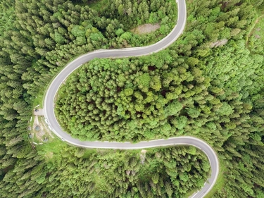 Eine geschwungene Straße führt durch einen Wald