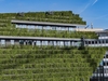 Ein Gebäude dessen Fassade begrünt ist