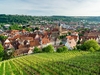 Blick auf Neckar Esslingen in Baden-Württemberg