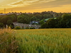 Bild der Region Südwestsachsen/Chemnitz beim Sonnenuntergang.